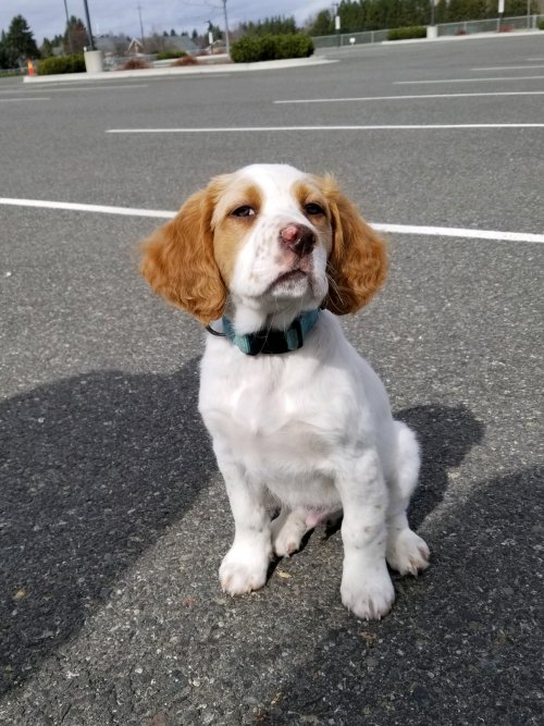 5201.jpeg