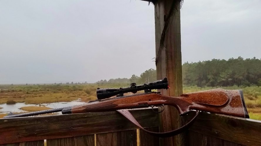 20141125_080005.jpg 20141125_080005.jpg