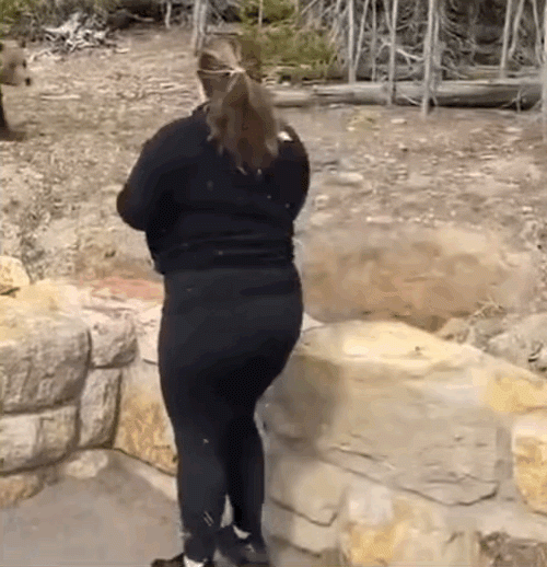 F01A3B9C-CB12-46E3-AE9F-7D2865E6B182.gif F01A3B9C-CB12-46E3-AE9F-7D2865E6B182.gif