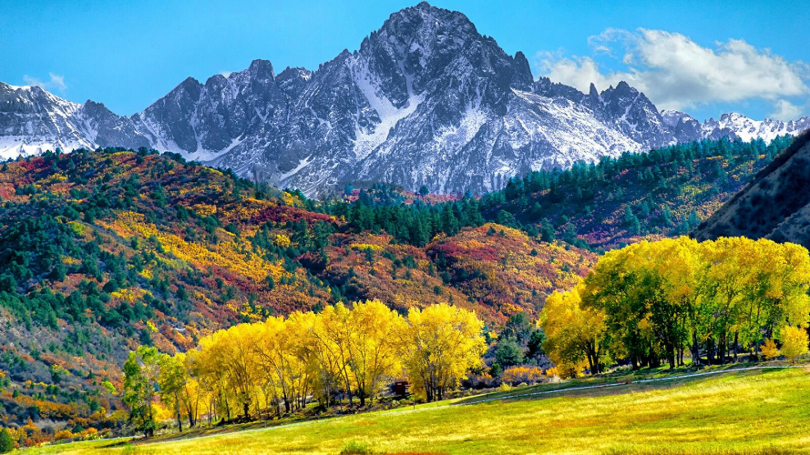 1648648772560.png 1648648772560.png