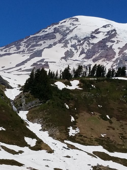 20180709_092037 Mt Ranier ,Paradise enterance (29).jpg