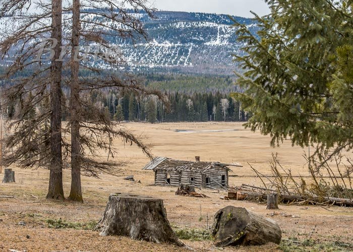 Log House  March 2020 a-3998.JPG