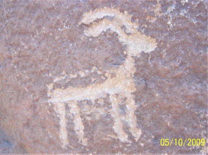 dominguez ram pictograph.JPG