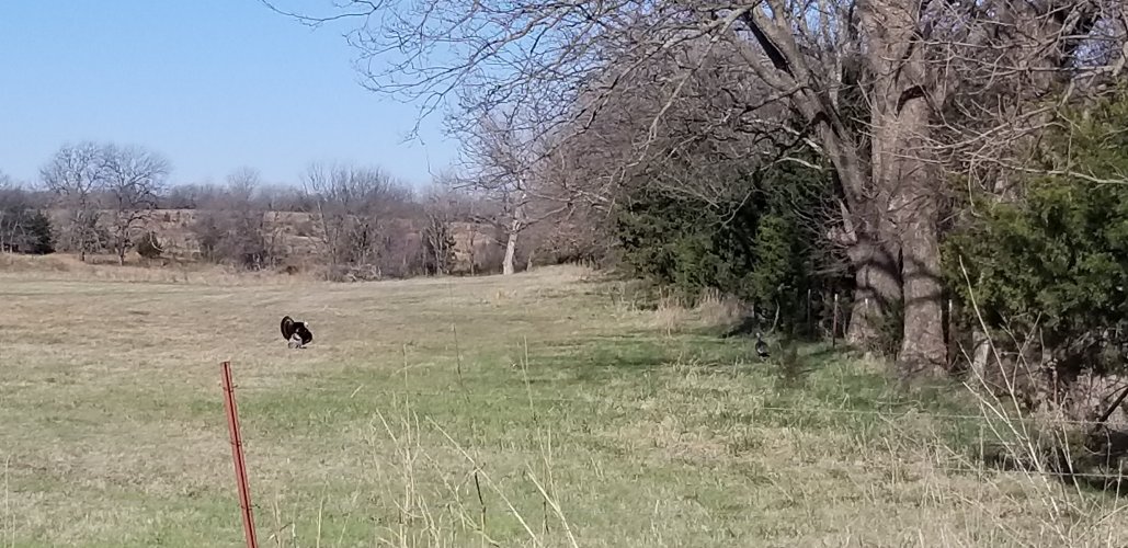 20220408_094505.jpg