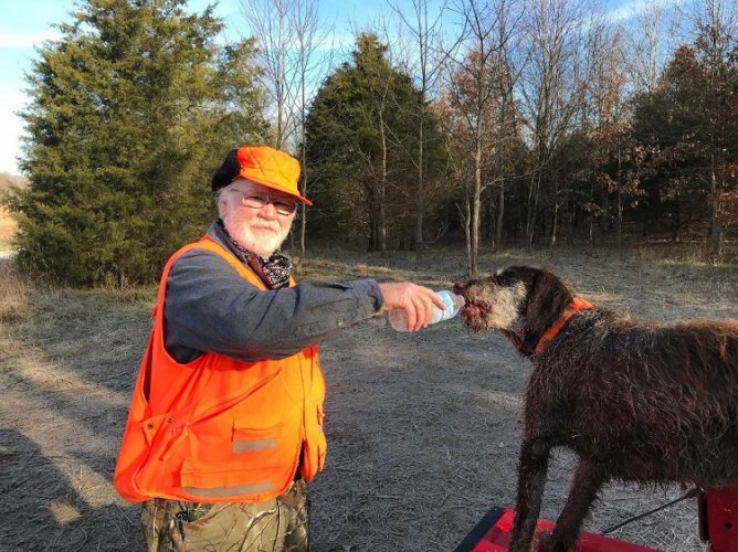 RWB Duke Chukars Quail thirsty work 3fb.jpg RWB Duke Chukars Quail thirsty work 3fb.jpg