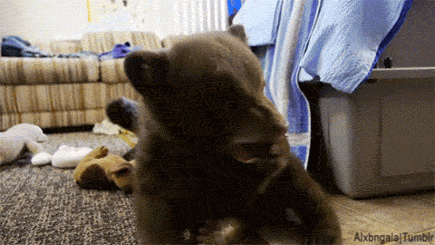 1650035965039.gif 1650035965039.gif