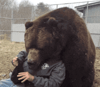 1650036171164.gif 1650036171164.gif