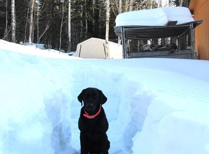 Scout_Snowpack_17April2022.jpg