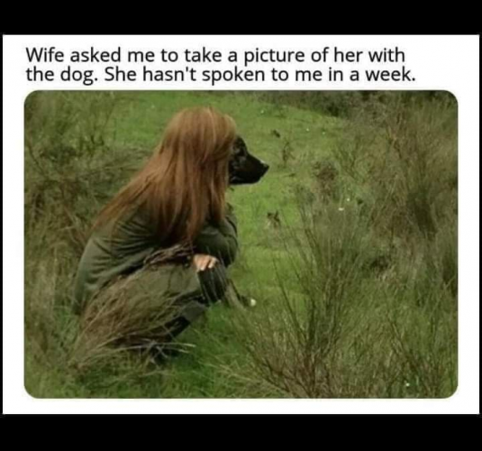 1650214225068.png