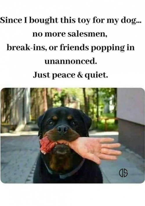 1650291510057.png 1650291510057.png