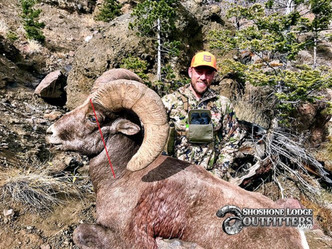 pic-bighornsheep165-hunts-wyoming.jpg