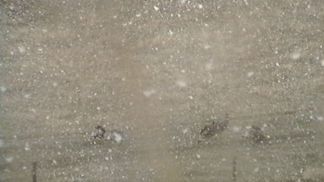 IMGA0508.JPG