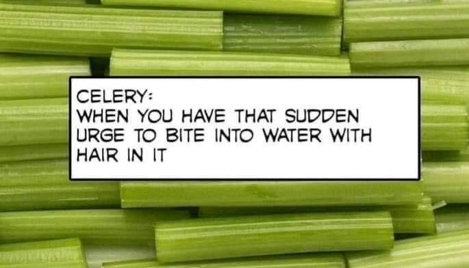 1650332196566.png 1650332196566.png