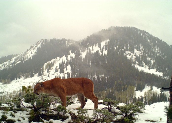 STC_0193 - Copy2.jpg STC_0193 - Copy2.jpg