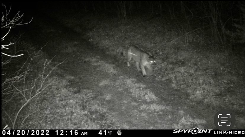 758EFB2D-BCF8-4402-BAF9-4FCD356AC69A.jpeg 758EFB2D-BCF8-4402-BAF9-4FCD356AC69A.jpeg