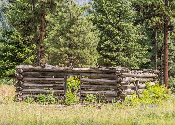 Log Building July 2018-9904.JPG