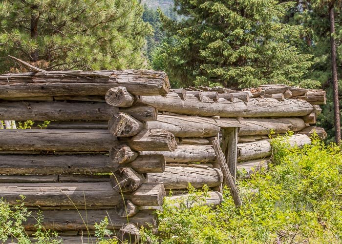 Log Building July 2018-9913.JPG