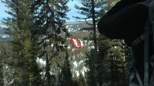 WyoWolf2012-3.jpg WyoWolf2012-3.jpg