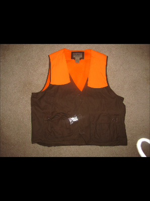 Vest 1.png