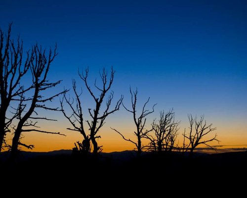 crazy_sunset8x10.jpg