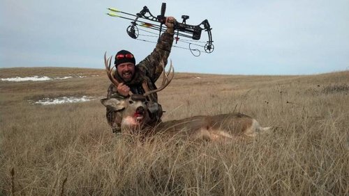 nd mule deer 3.jpg