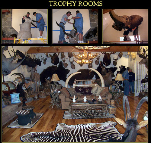 trophy-rooms-new.jpg