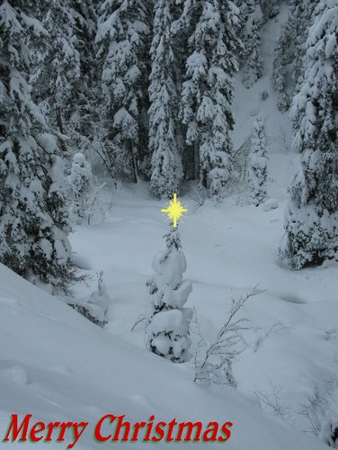 Christmas card for 2012.jpg