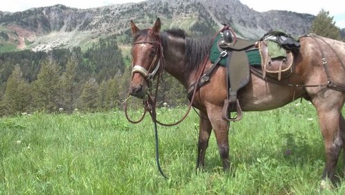 2012-07-14 001 003 (640x361).jpg 2012-07-14 001 003 (640x361).jpg