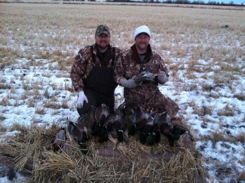 Dustin Erik Ducks.jpg