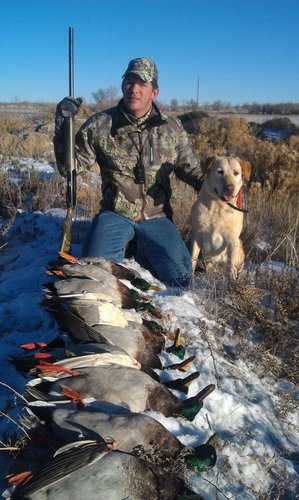 Greenhead-1.jpg Greenhead-1.jpg