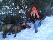 2012 elk.jpeg