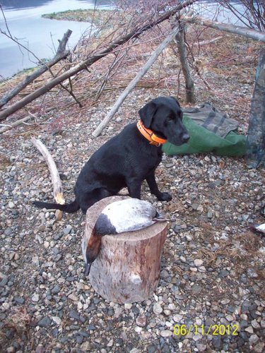 100_0336.jpg