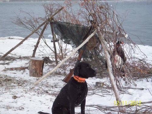 100_0359.jpg