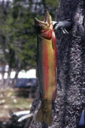 Fishing30007.jpg Fishing30007.jpg