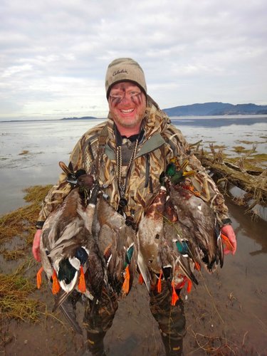 Duck 4.jpg