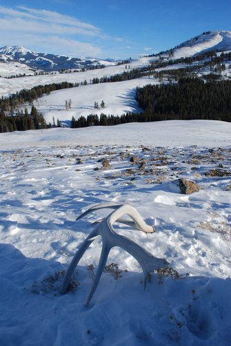 DSC_00021.jpg DSC_00021.jpg