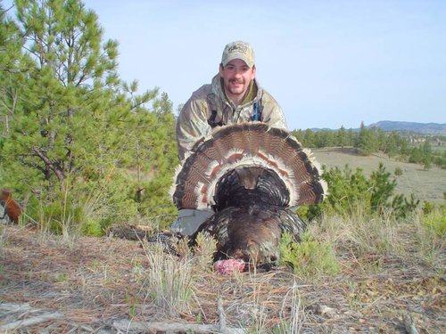More of 1st Turkey.jpg
