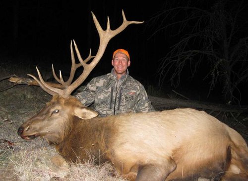 2009 NM Elk.jpg