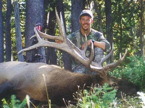 1998MTElk.jpg