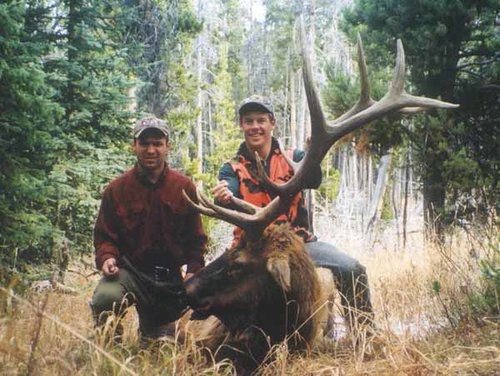 1999MTElk.jpg