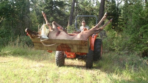 P8310372 (800x450).jpg P8310372 (800x450).jpg