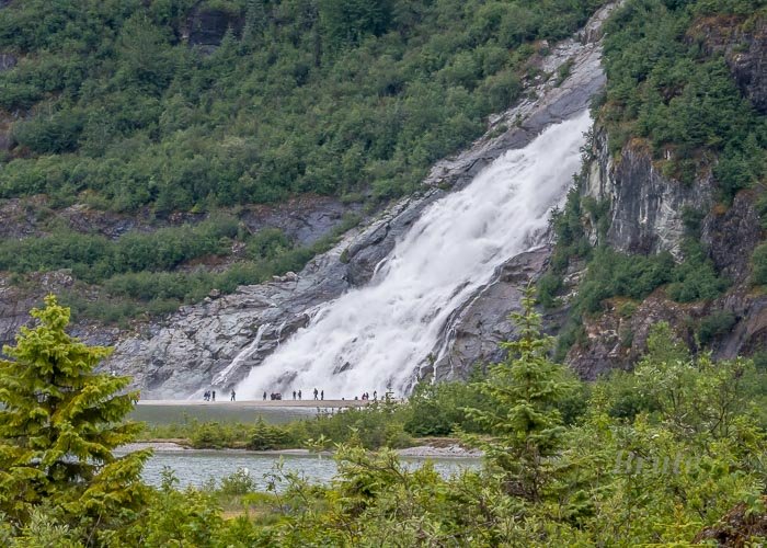 Mendenhall Glacier Alaska Cruise June 2019 a-7613.JPG