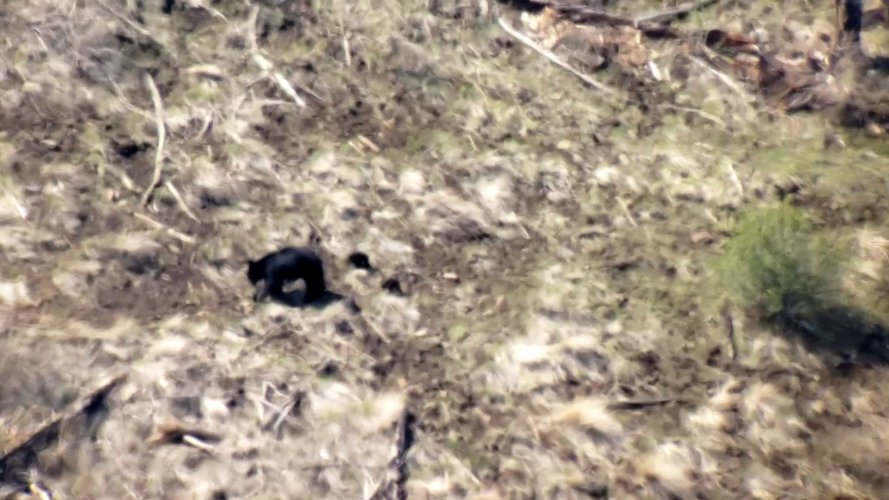 VideoCapture_20220424-204013.jpg