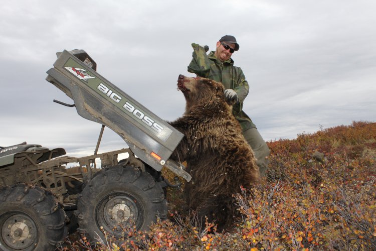 Bear Karate Chop.JPG Bear Karate Chop.JPG