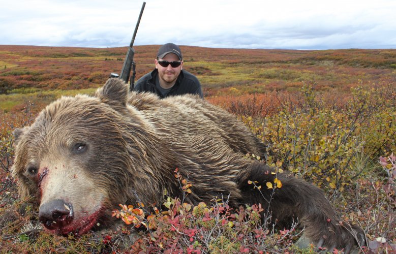 Bear shot between the eyes.JPG