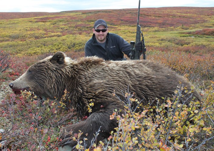 Alaska inland Grizzly.JPG Alaska inland Grizzly.JPG
