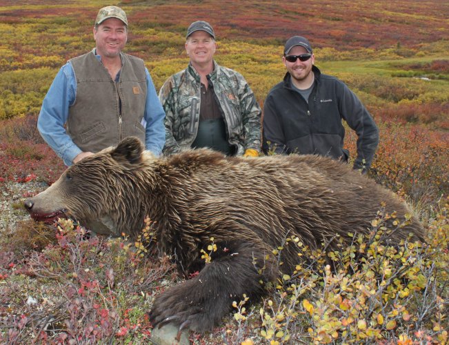 Dead bear.JPG Dead bear.JPG