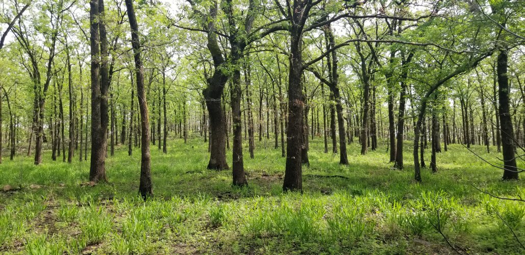 20220425_104938.jpg 20220425_104938.jpg