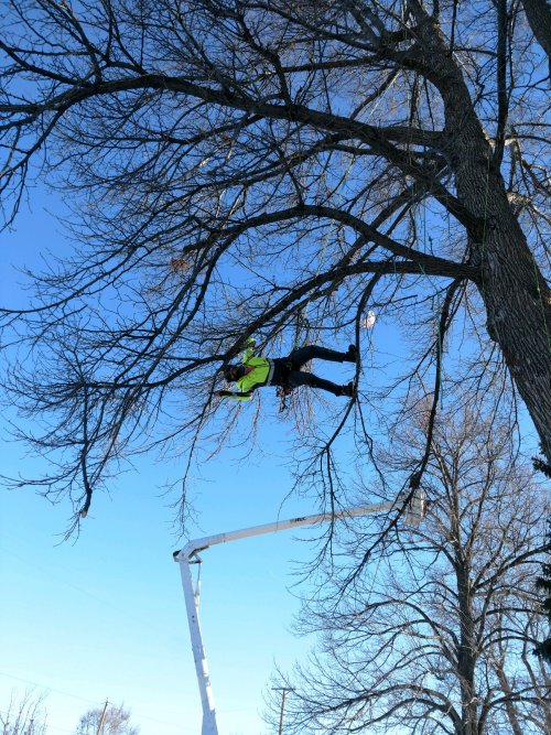 E5C19014-A7B3-45CC-96BD-C7B61C35A479.jpeg E5C19014-A7B3-45CC-96BD-C7B61C35A479.jpeg