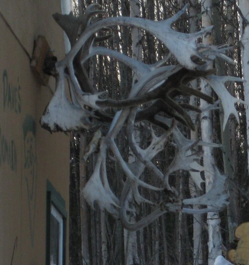 hothouse_snow.jpg hothouse_snow.jpg